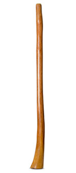 Gloss Finish Flared Didgeridoo (TW1115)